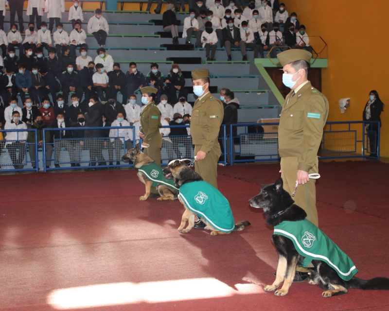 Perros de la Escuela Canina de Carabineros sorprendieron con sus habilidades a nuestros estudiantes
